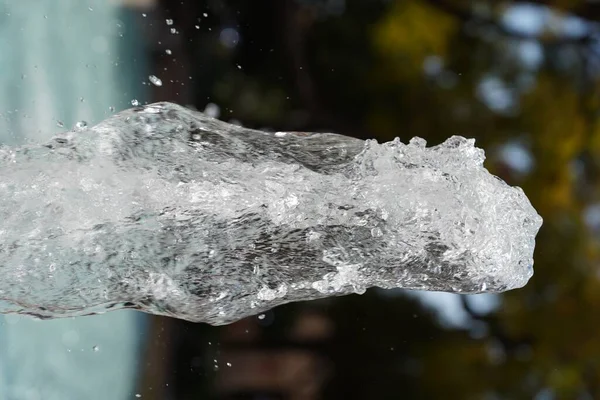 背景为树木的水泉的垂直特写选择性聚焦拍摄 — 图库照片