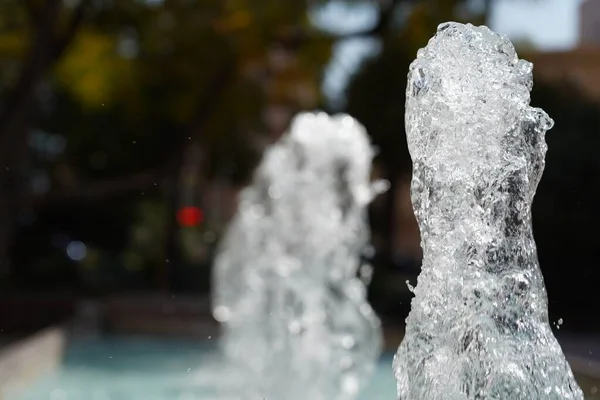 Closeup Selective Focus Shot Water Fountain Trees Background — Stock Photo, Image