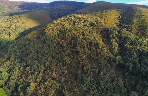 Eine Luftaufnahme Von Grünem Wald Gebirge Balboa Bierzo Leon Spanien — Stockfoto