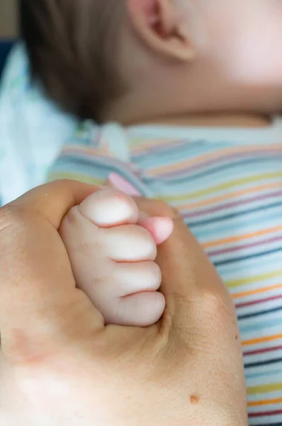 Vertical Shot Person Holding Babies Hand — Stock Photo, Image