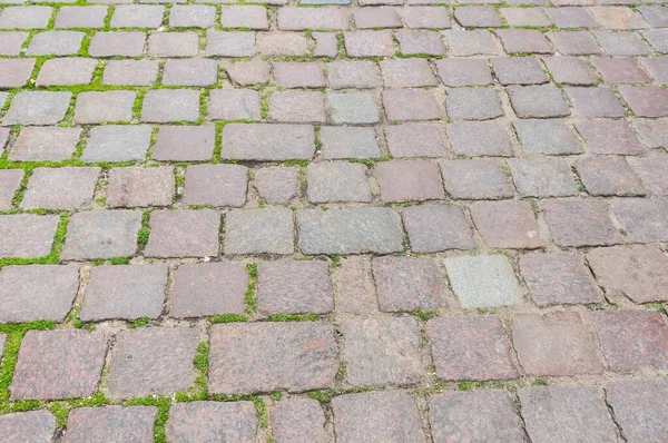 Eine Nahaufnahme Von Kopfsteinpflaster Mit Wachsendem Gras — Stockfoto