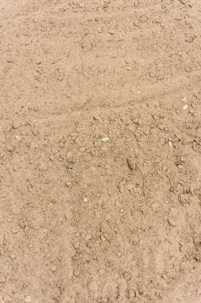 Вертикальный Крупный План Песчаной Земли — стоковое фото