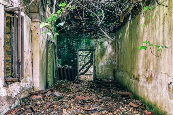 Hospital Arruinado Está Desmoronando Ilha Poveglia Abandonada Supostamente Assombrada Itália — Fotografia de Stock