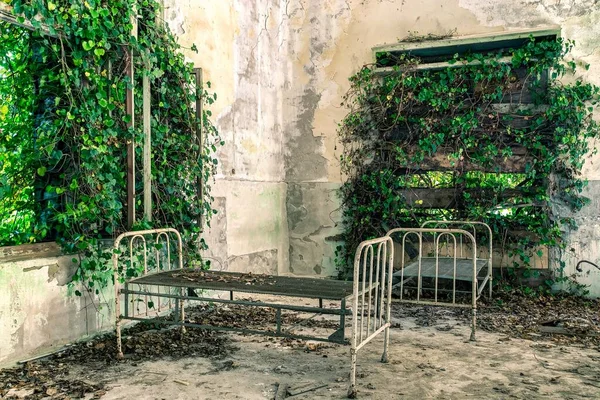 Hospital Ruinas Derrumba Abandonada Supuestamente Embrujada Isla Poveglia Italia — Foto de Stock