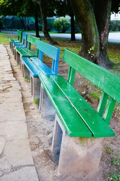 Vertical Shot Blue Green Benches Trees Park — Stock Photo, Image