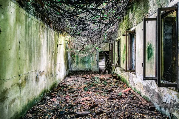 Ruined Building Lies Crumbling Abandoned Supposedly Haunted Poveglia Island Italy — Stock Photo, Image