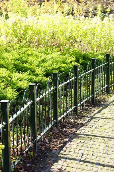 Вертикальный Снимок Зеленых Растений Рядом Металлическим Забором — стоковое фото
