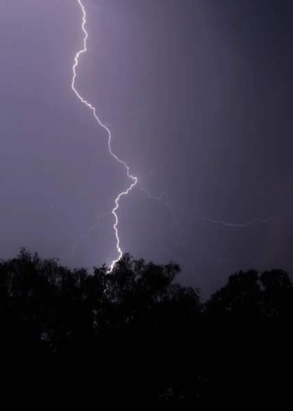 Disparo Vertical Relámpago Golpeando Árbol Por Noche Con Cielo Púrpura —  Fotos de Stock