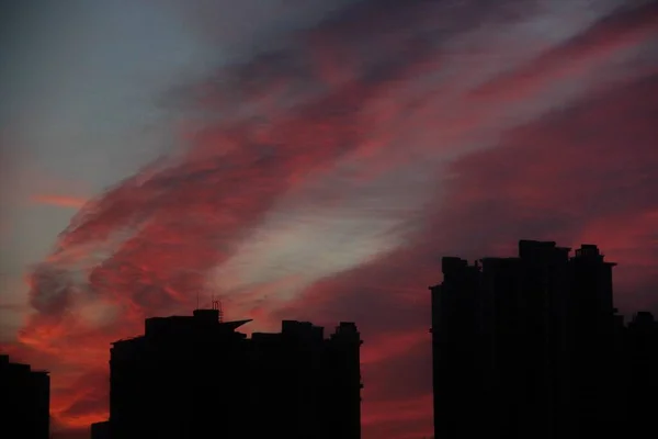 Красивый Низкоугольный Снимок Зданий Розовым Синим Небом Закате — стоковое фото