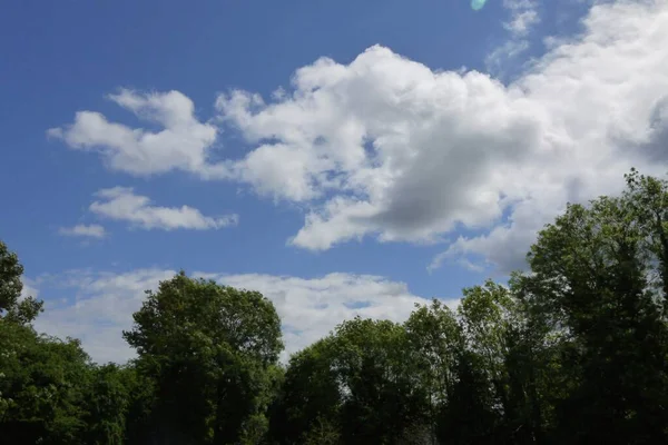 Красивый Снимок Зеленых Деревьев Облачным Голубым Небом Заднем Плане — стоковое фото