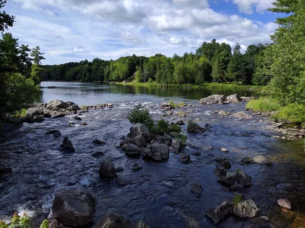 Beaucoup Rochers Dans Une Rivière Entourée Verdure — Photo