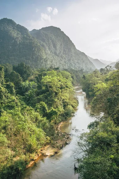 Μια Ψηλή Γωνία Ενός Ποταμού Μέσα Από Ένα Δάσος — Φωτογραφία Αρχείου