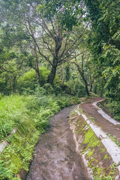 印度尼西亚伦博克Rinjani国家公园的美丽 — 图库照片