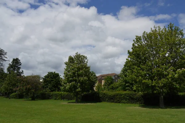 Hermoso Tiro Árboles Verdes Parque Con Cielo Azul Nublado Fondo — Foto de Stock