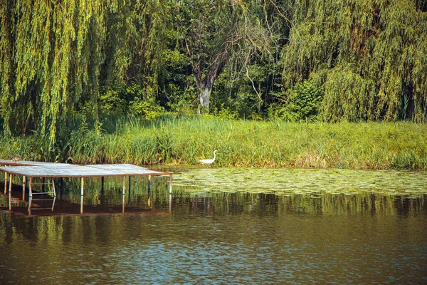 Piękne Ujęcie Promenady Nad Jeziorem Otoczonej Bujną Przyrodą Słoneczny Dzień — Zdjęcie stockowe