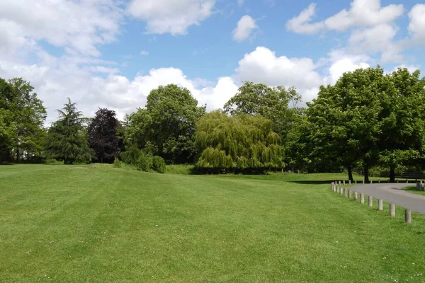 緑の木々の美しいショットと背景に曇り空の公園内の具体的な歩道 — ストック写真