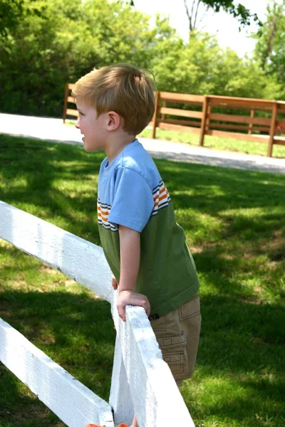 Memphis United States Apr 2006 Little Boy Looks Wooden Fence — Stock Photo, Image