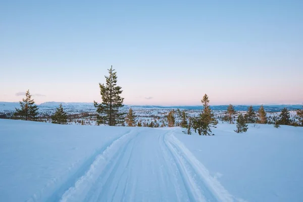 Красивый Пейзаж Снежного Района Большим Количеством Зеленых Деревьев Норвегии — стоковое фото