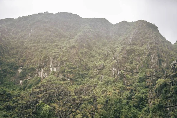 Plano Ángulo Bajo Una Montaña Rocosa Cubierta Árboles — Foto de Stock