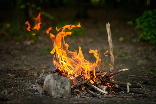 Prachtige Opname Van Een Kampvuur Het Bos — Stockfoto