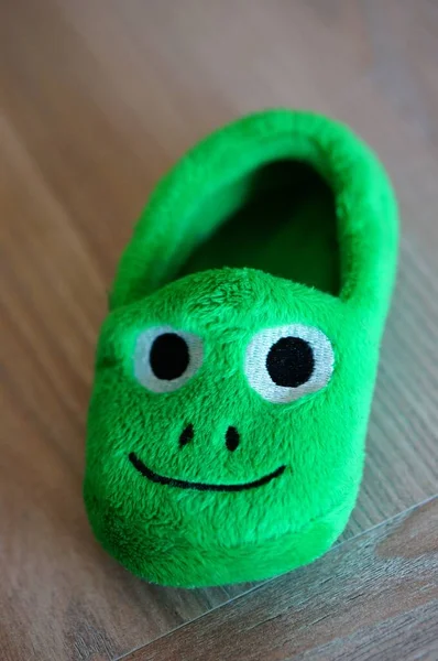 Een Verticaal Shot Van Een Zachte Groene Slipper Met Een — Stockfoto