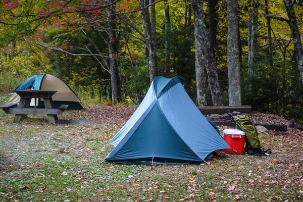 Deux Tentes Entourées Verdure Dans Une Forêt Jour Dans Randolph — Photo