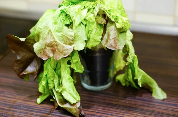 Lechuga Verde Seca Una Olla Sobre Una Mesa Madera — Foto de Stock