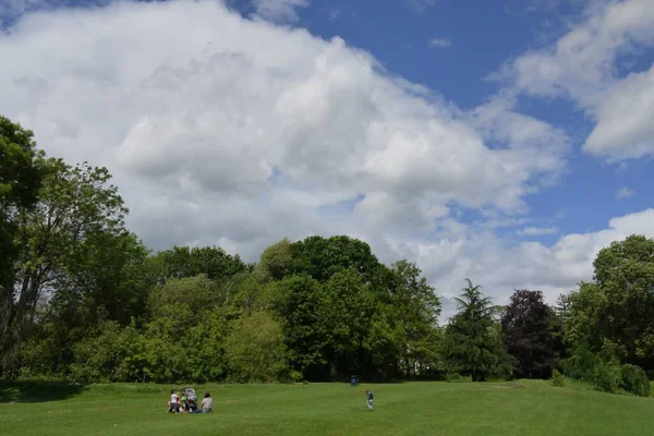 Una Hermosa Foto Gente Parque Rodeada Árboles Verdes Con Cielo — Foto de Stock