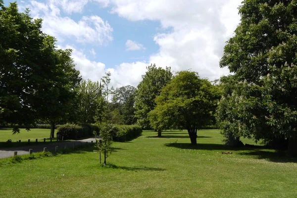 Eine Schöne Aufnahme Von Grünen Bäumen Park Und Ein Betonsteg — Stockfoto