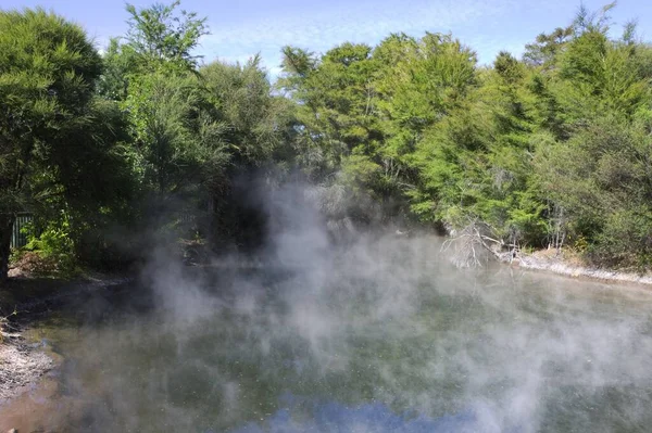 Hermoso Paisaje Una Piscina Caliente Rodeada Árboles Verdes Nueva Zelanda —  Fotos de Stock