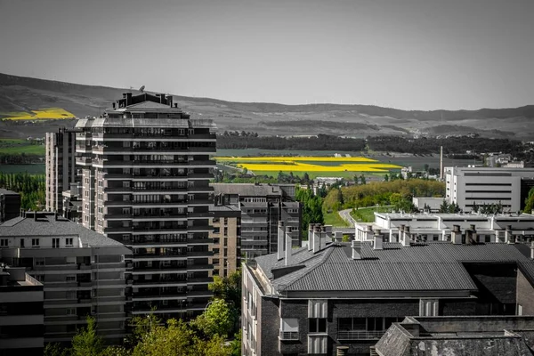 Una Escala Grises Pamplona Con Campos Colores Bajo Luz Del — Foto de Stock