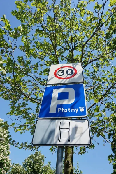 波兰文标志的低角度照片 显示付费停车和车速限制为30度 后面有树枝 — 图库照片