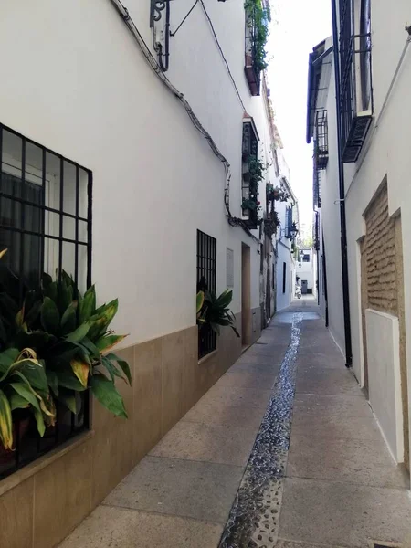 Vertical Shot Narrow Corridor Buildings Cordoba Spain — Stock Photo, Image