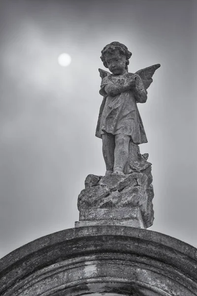 Een Grijswaarden Verticaal Shot Van Een Gebeeldhouwde Engel New Orleans — Stockfoto