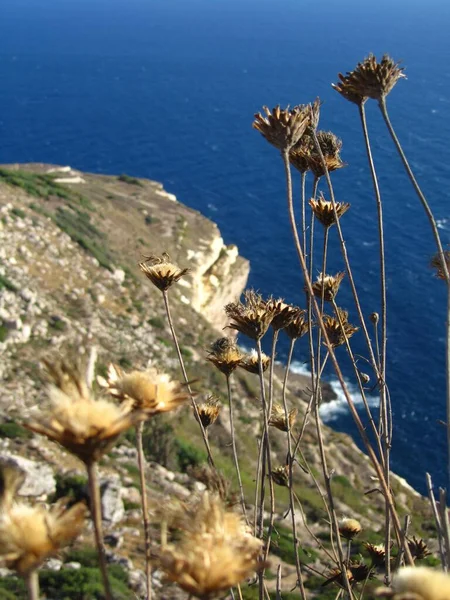 Krásná Scenérie Skalnatých Útesů Mořském Pobřeží Ostrově Filfla Maltě — Stock fotografie