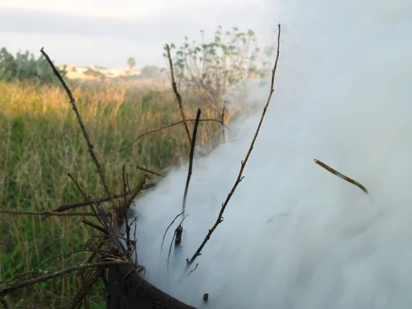 Gros Plan Fumée Provenant Combustion Litière Feuilles Sèches Malte Concept — Photo