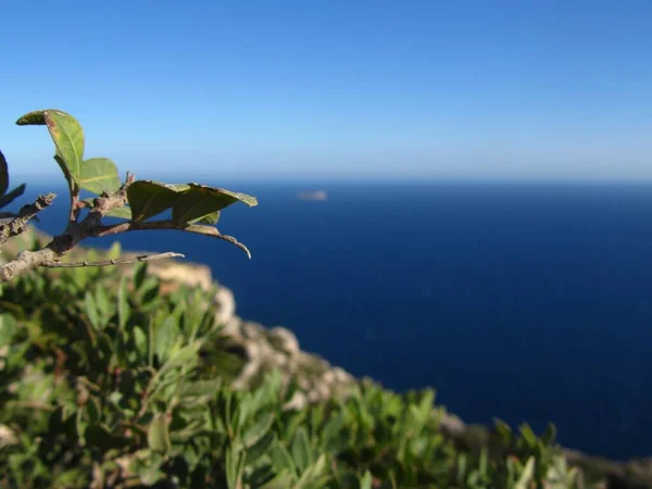Чудовий Краєвид Скелі Узбережжі Моря Острові Філфра Мальта — стокове фото