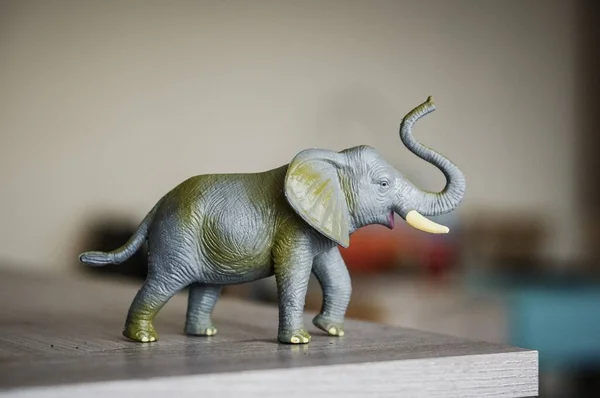 Tiro Perto Brinquedo Elefantes — Fotografia de Stock