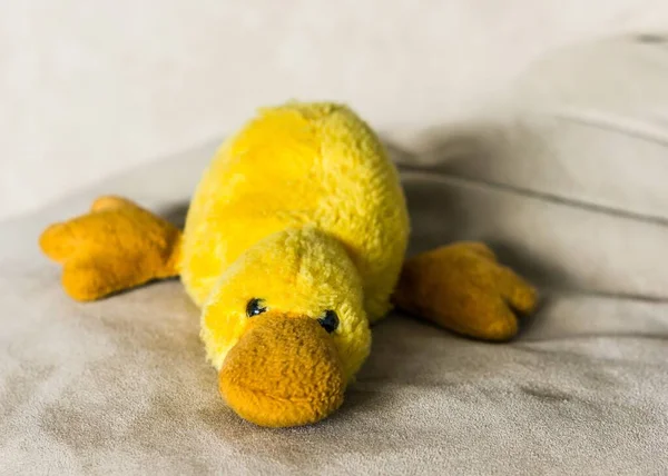 Closeup Yellow Duck Toy Blanket Lights — Stock Photo, Image
