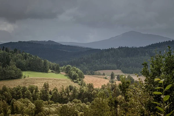 Панорамный Снимок Долины Полем Деревьями — стоковое фото