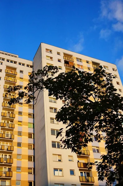 Plano Vertical Edificio Bajo Cielo Azul Árbol Junto — Foto de Stock