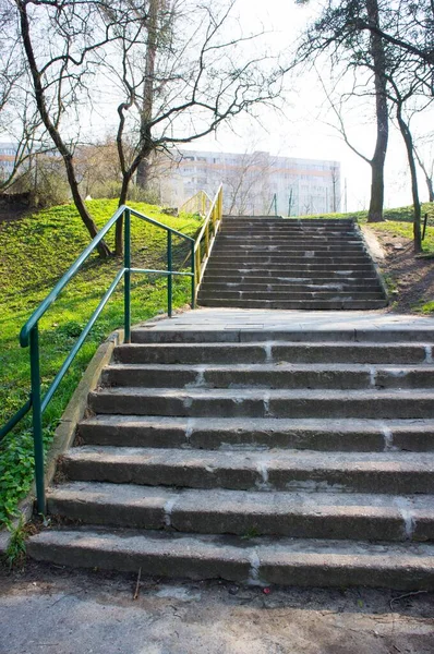 Tiro Vertical Das Escadas Parque Cercado Por Árvores — Fotografia de Stock