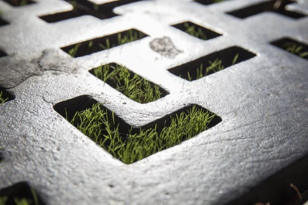 Konstnärlig Trädgård Gjord Små Rektanglar Och Geometriska Ritningar Med Grönt — Stockfoto