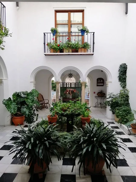 Interno Edificio Bianco Con Archi Balcone Decorato Con Piante Cordova — Foto Stock