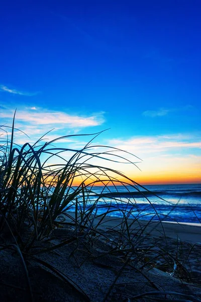 Vertikální Záběr Trávy North Entrance Beach — Stock fotografie