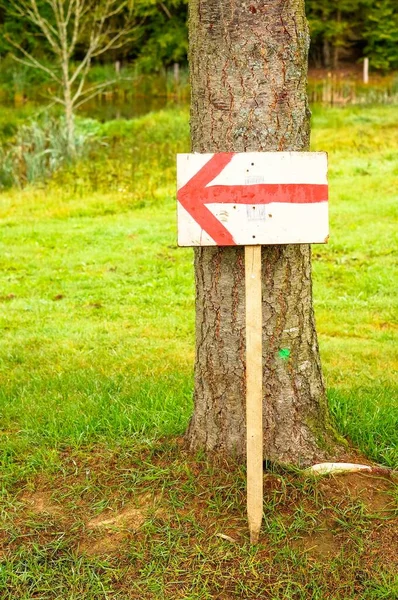 Pionowe Ujęcie Ręcznie Robionego Znaku Przed Drzewem Pokazującego Kierunek — Zdjęcie stockowe