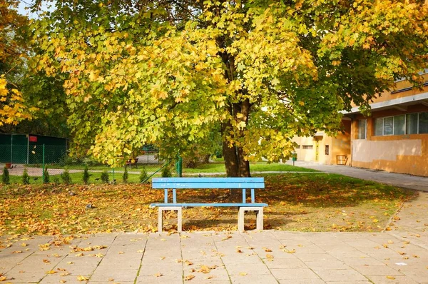 Kék Pad Alatt Színes Levelekkel Parkban Ősszel — Stock Fotó