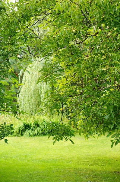 Der Faszinierende Blick Auf Die Abschläge Auf Der Grünen Wiese — Stockfoto