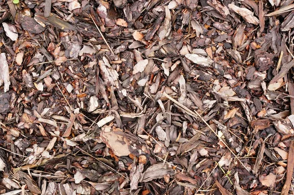 Kesilmiş Odun Kuru Yapraklarla Dolu Güzel Bir Kare Arka Plan — Stok fotoğraf