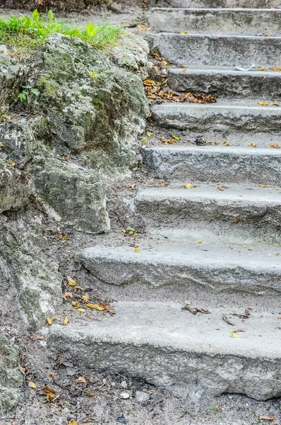 Gri Beton Merdivenlerin Dikey Görüntüsü — Stok fotoğraf